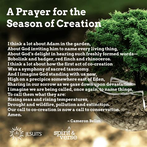 Spirit & Verse: A Prayer for the Season of Creation