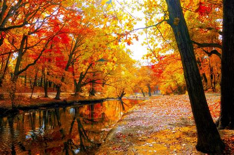 AUTUMN fall landscape nature tree forest leaf leaves wallpaper ...