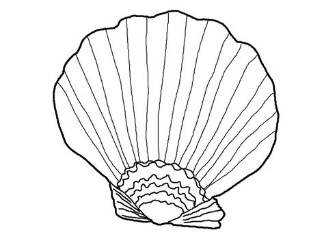 Free Printable Seashell Coloring Pages For Kids