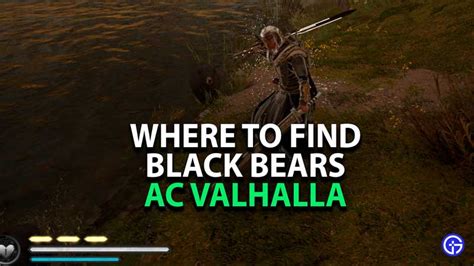 AC Valhalla: Where To Find Black Bear Fur (Location)