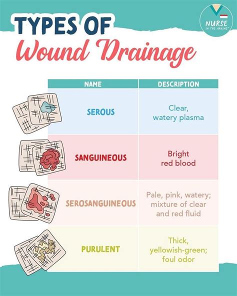 Types of Wound Drainage in English, Spanish, and Chinese