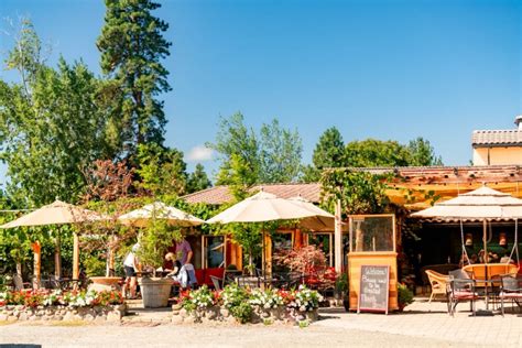 15 OUTSTANDING Oregon Wineries (Helpful Local's Guide)