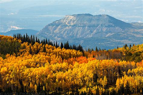 Grand Mesa Fall Colors // ADVENTR.co