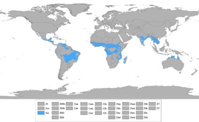 Tropical savanna climate - Wikipedia