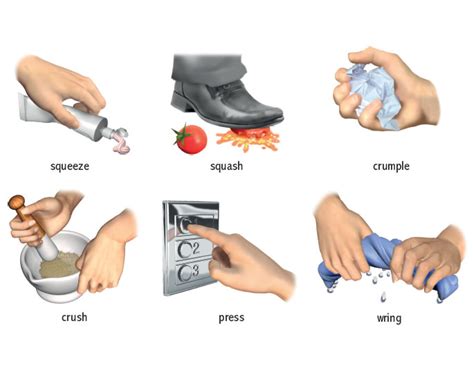 crush verb - Definition, pictures, pronunciation and usage notes ...