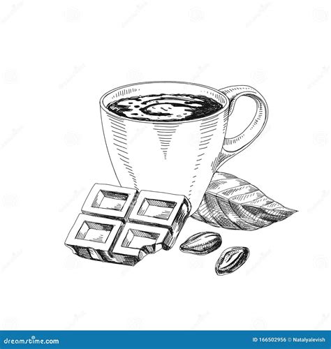 Cup of Hot Chocolate Hand Drawn Vector Illustration Stock Vector ...