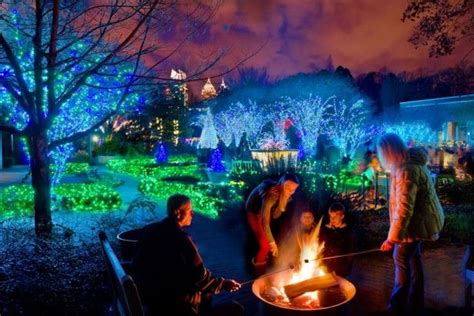 Atlanta Botanical Garden Events - Flower Garden Ideas