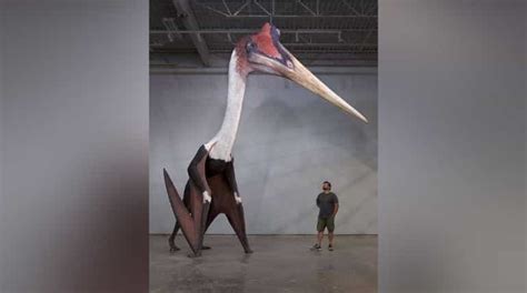 Quetzalcoatlus largest known flying animal to have ever lived on Earth ...