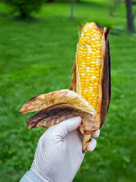 Grilled Corn In The Husk - DadCooksDinner