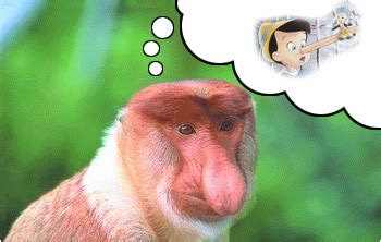 Monkey Crying GIF - Find & Share on GIPHY