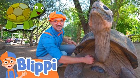 Blippi Visits a Zoo And Learns About Animals! | Educational Videos for ...