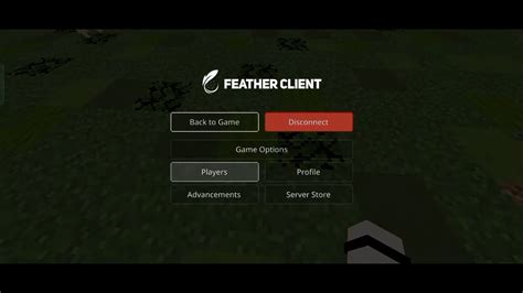 Feather Client BE (1.21, 1.20) - MCPE/Bedrock Edition - 9Minecraft.Net