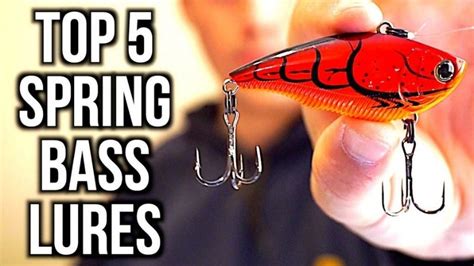 Best Spring Bass Lures