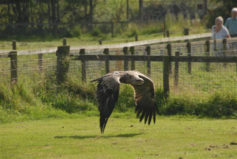 Lake District Wildlife Park Gallery - Visit Cumbria