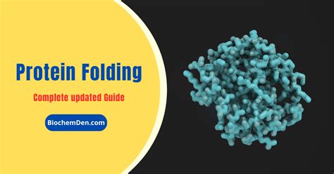 Protein Folding: Process Behind Protein Structure and Function