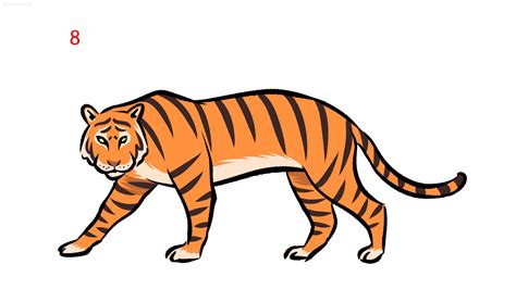 Tiger Drawing Ideas How to draw a Tiger