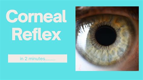 How To Check Corneal Reflex