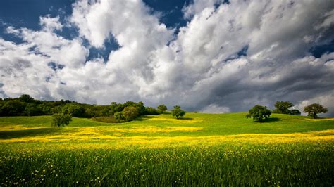 Grass Field Sky Wallpaper Hd Nature 4k Wallpapers Images Photos | Porn ...