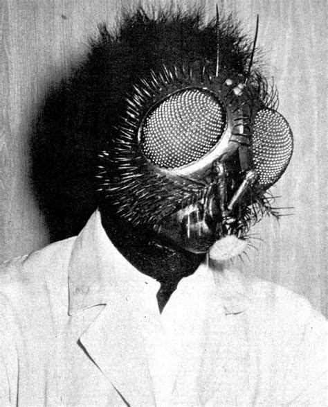 The Fly | Classic horror movies, Movie monsters, Classic horror