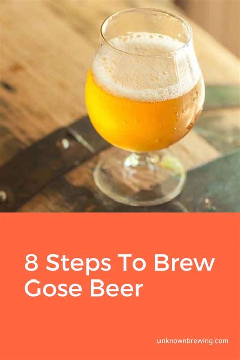 8 Steps To Brew Gose Beer (Step-by-Step Guide)