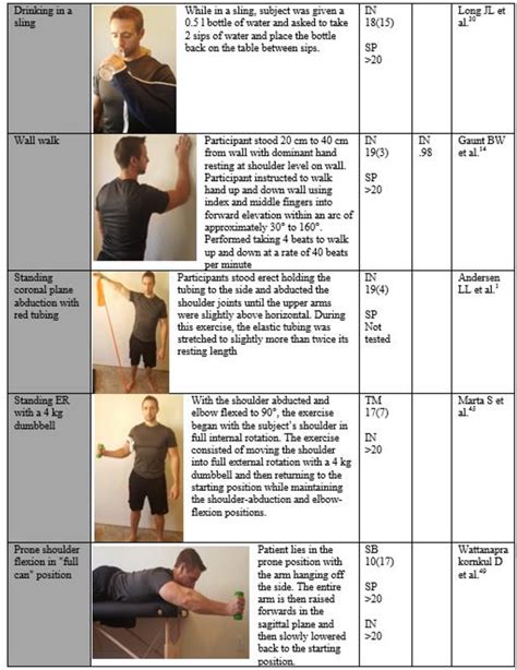 Figure 1 from A Literature Review of Studies Evaluating Rotator Cuff ...