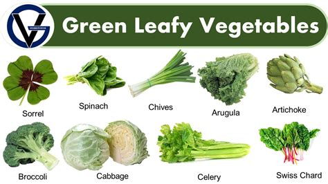 50 Green Leafy Vegetables Names in English with Pictures - GrammarVocab