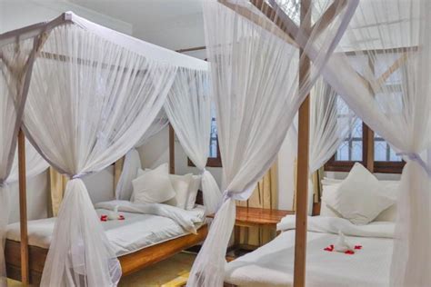 We call it Home- Kiwengwa Zanzibar - 2022 hotel deals - Klook United States