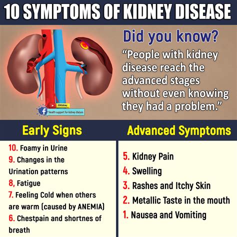 Is it really possible to get off kidney dialysis?: 10 SYMPTOMS OF ...