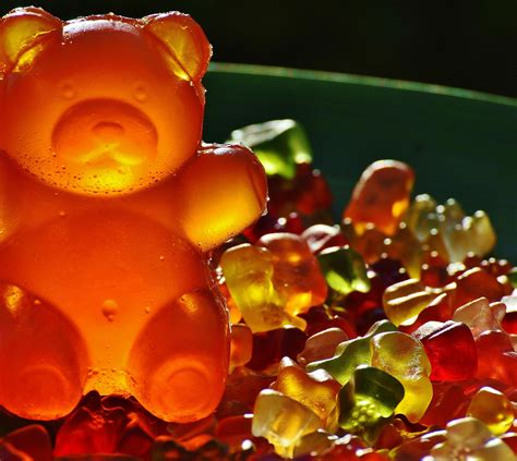 Closeup Photography of Gummy Bears · Free Stock Photo