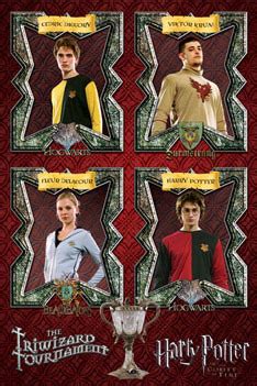 Poster HARRY POTTER 4 - triwizard tournament | Wall Art | 3+1 FREE ...