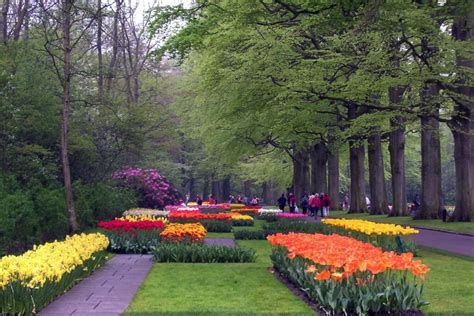 Keukenhof Gardens, Our Visit to a Colorful World of Tulips