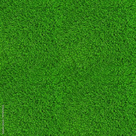 Green lawn grass background texture high resolution Stock Photo | Adobe ...