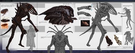 Arb Paninken - Alien Xenomorph: variant concept design