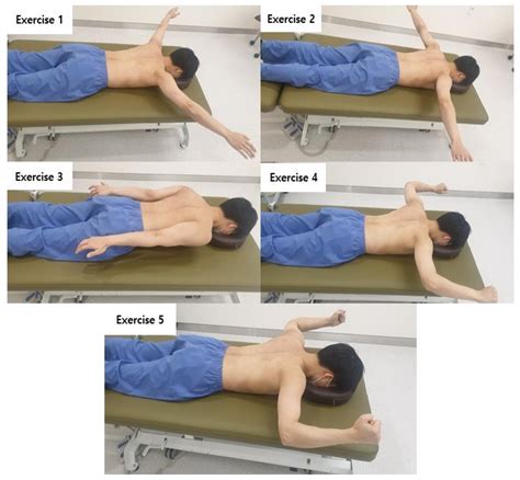 Medicina | Free Full-Text | Effects of the Proprioceptive Neuromuscular ...