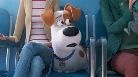 The Secret Life of Pets 2 (2019) • Full Movies Online