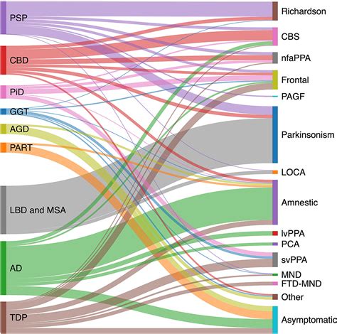 Frontiers | Clinical Spectrum of Tauopathies