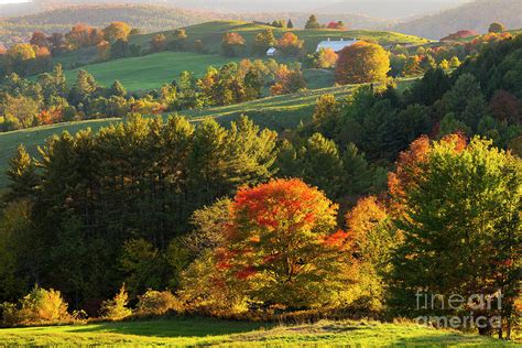 Late Day Fall Countryside Photograph by Alan L Graham | Fine Art America