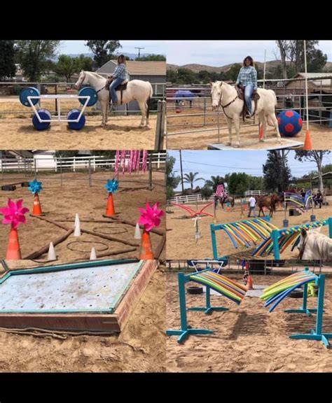 Norco horse obstacle course. | Trail riding horses, Horse trail, Horse ...