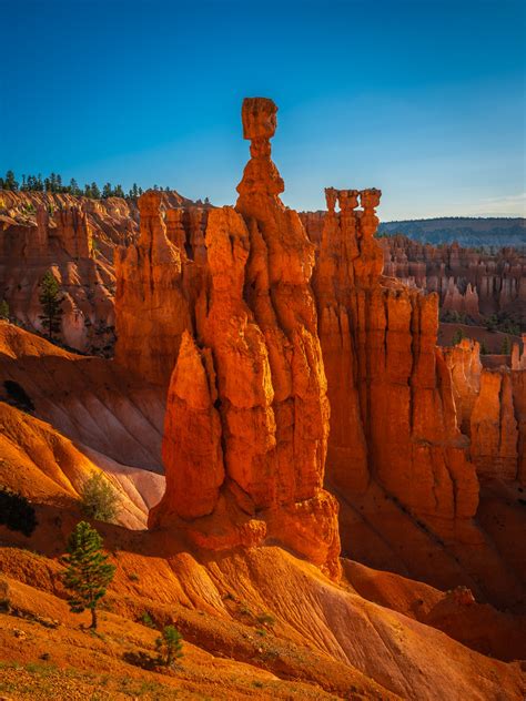 Bryce Canyon National Park Thor's Hammer Sunrise at Sunset Point Fine ...