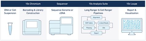 10X Genomics Single Cell | University of Minnesota Genomics Center