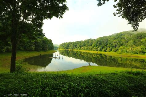 Thekkady Tourism (2023): Best of Thekkady, India - Tripadvisor