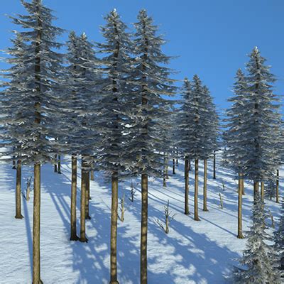 Pine Trees - Medieval Engineers Wiki