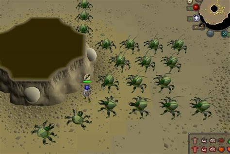 Kalphite OSRS Location Guide [2022]: The Best Guide! - Rune Fanatics