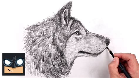 How To Draw a Wolf for Beginners | Sketch Art Lesson (Step by Step ...