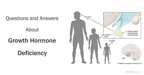 Growth Hormone Deficiency in Children and Adults