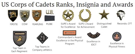 Usma Rank Insignia Chart