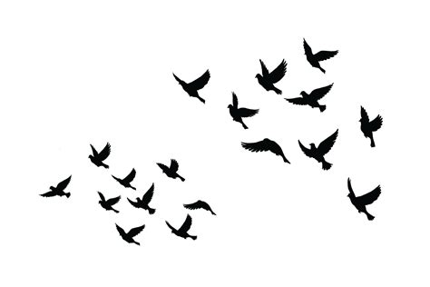 Bird Silhouette Tattoos at GetDrawings | Free download