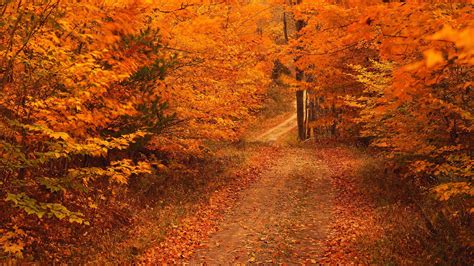 Autumn HD Wallpapers - Wallpaper Cave