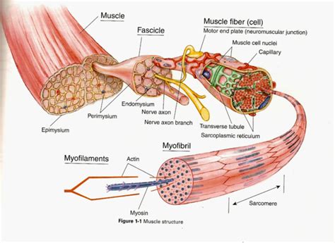 Trigger Points