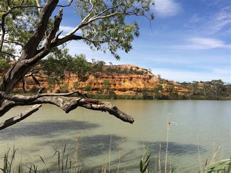 Murray River National Park - Glossop, Attraction | SA Tourism